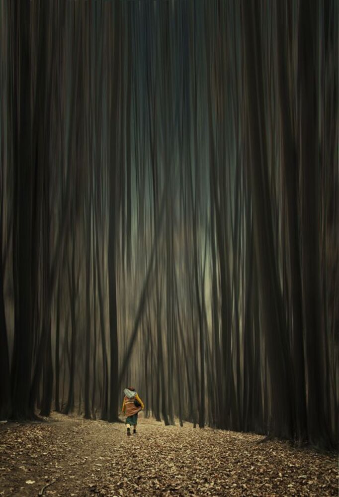A long journey - 2 -