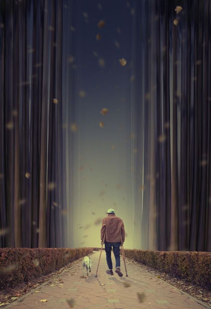Dreaming for a better world - 2 -