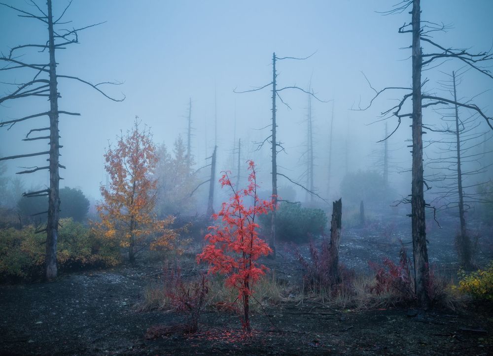 Камчатка.