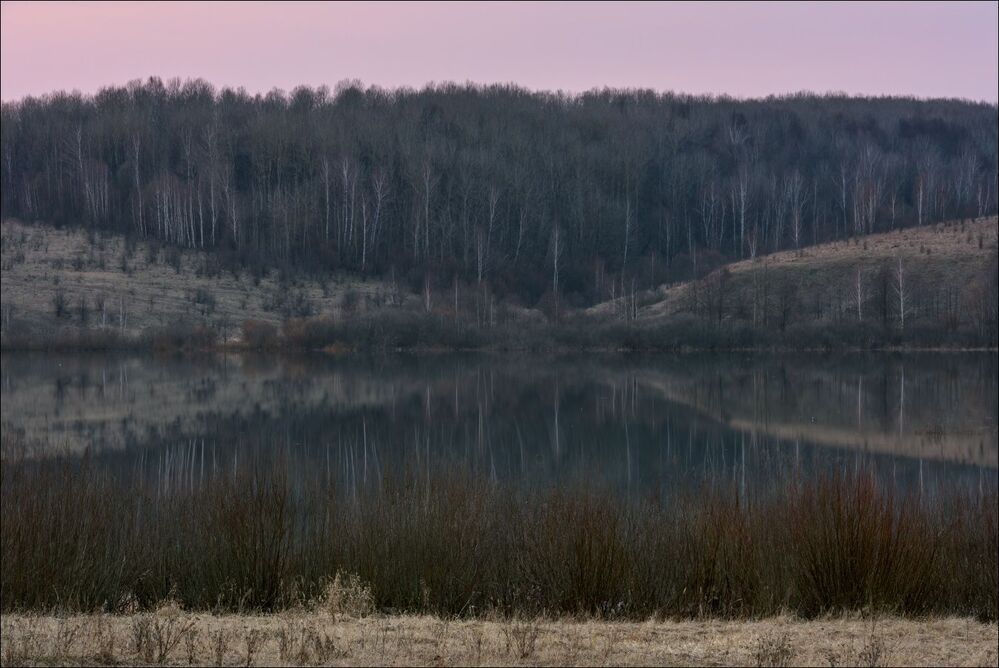 Сумеречные оттенки серой весны