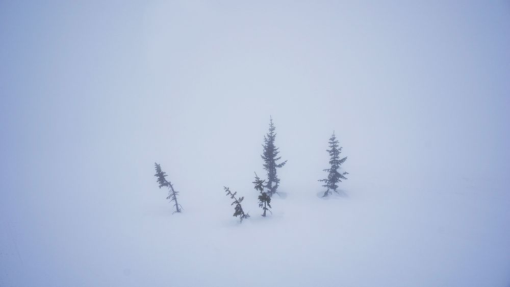 Шерегешские туманы.