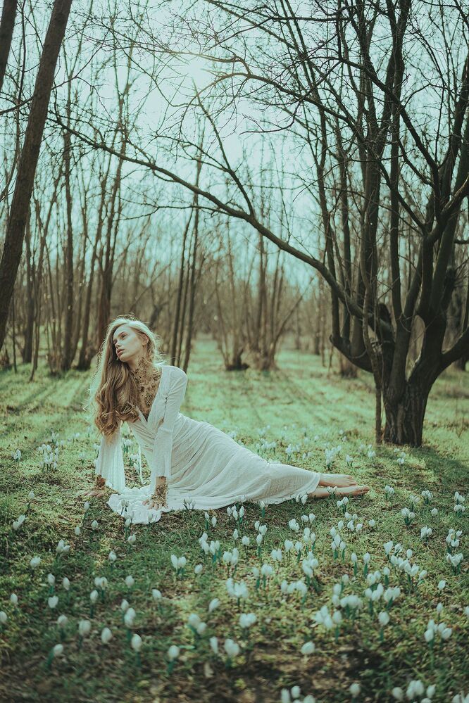 Photo 1925424