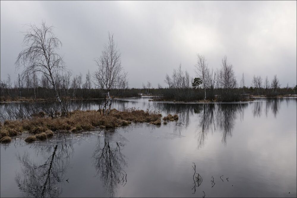 Хрупкое стекло весеннего льда