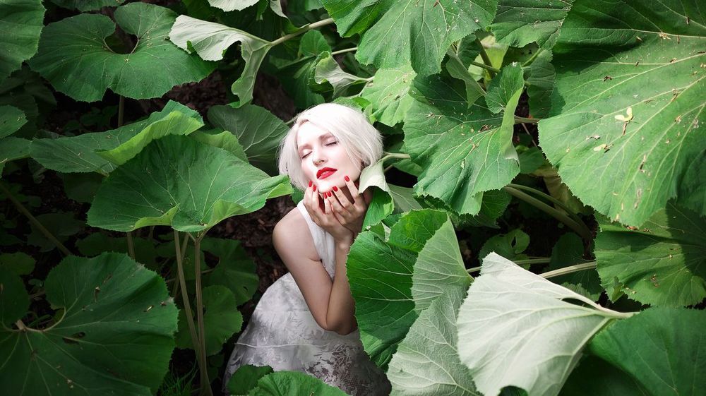 ~summer ecstasy~