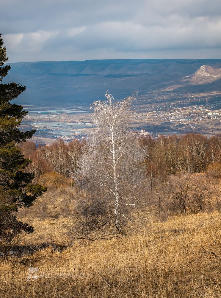 Март в Кисловодском парке