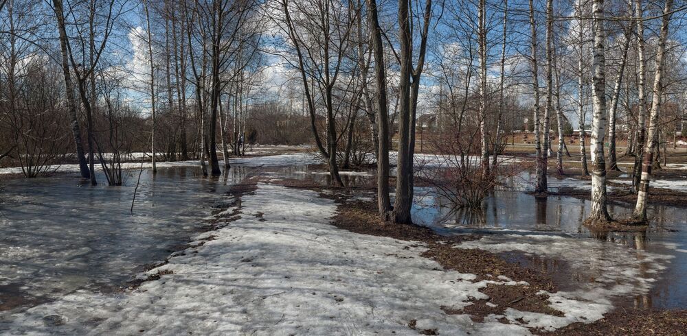 Панорамы выходного дня