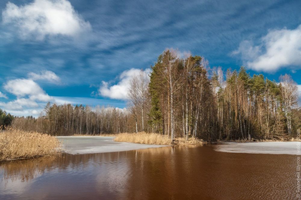 Весенний свет