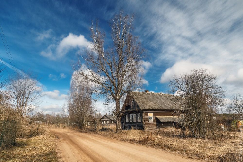 Весенний свет