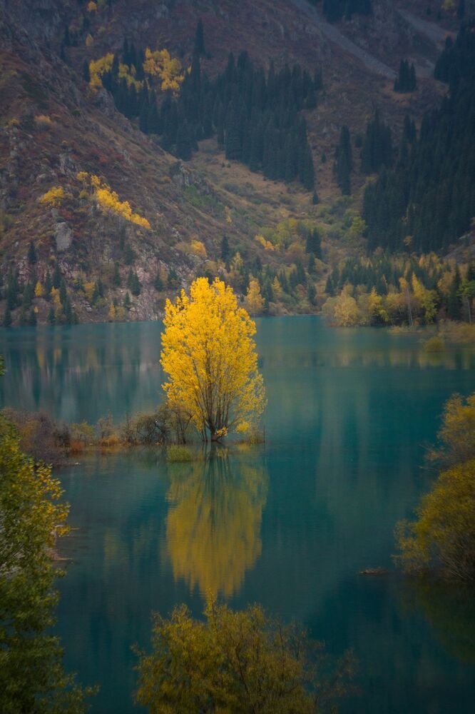 Казахстан, Алматы