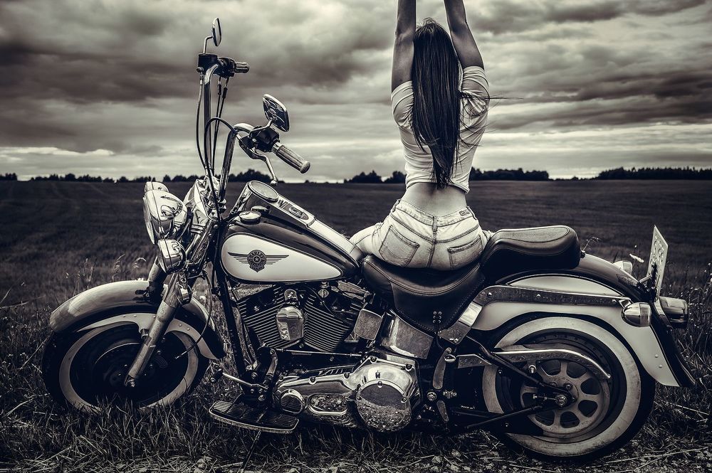 Freedom