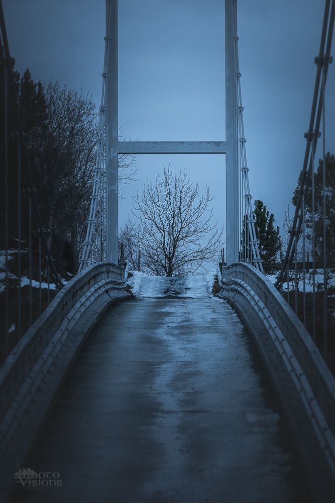 The Bridge