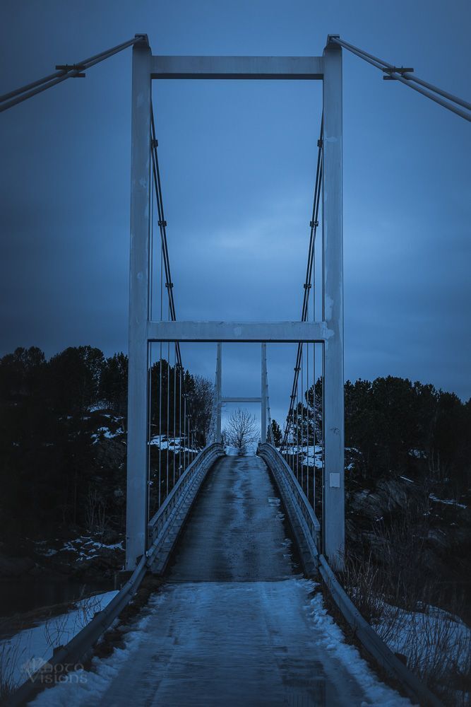 The Bridge