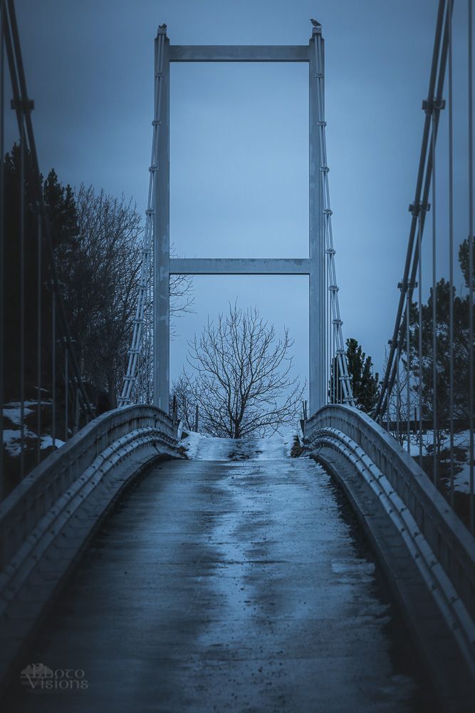 The Bridge