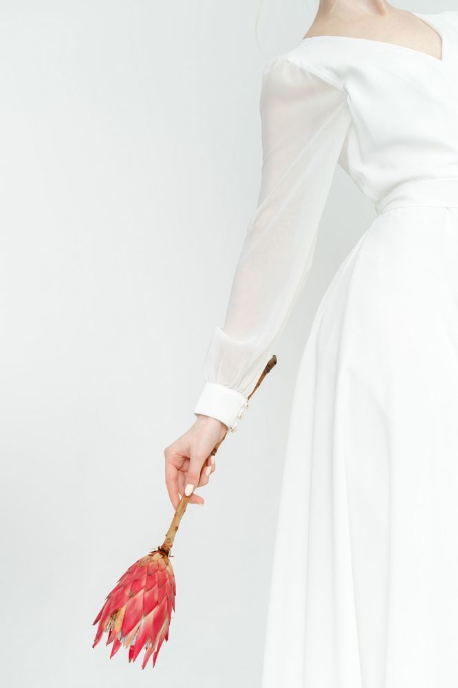 WHITE SWAN