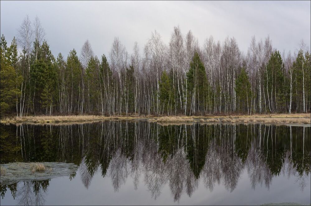 А в зеркале весна ...