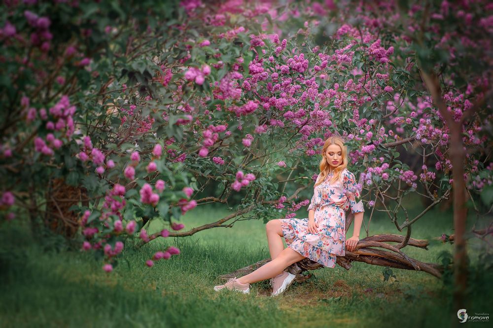 Lilac mood