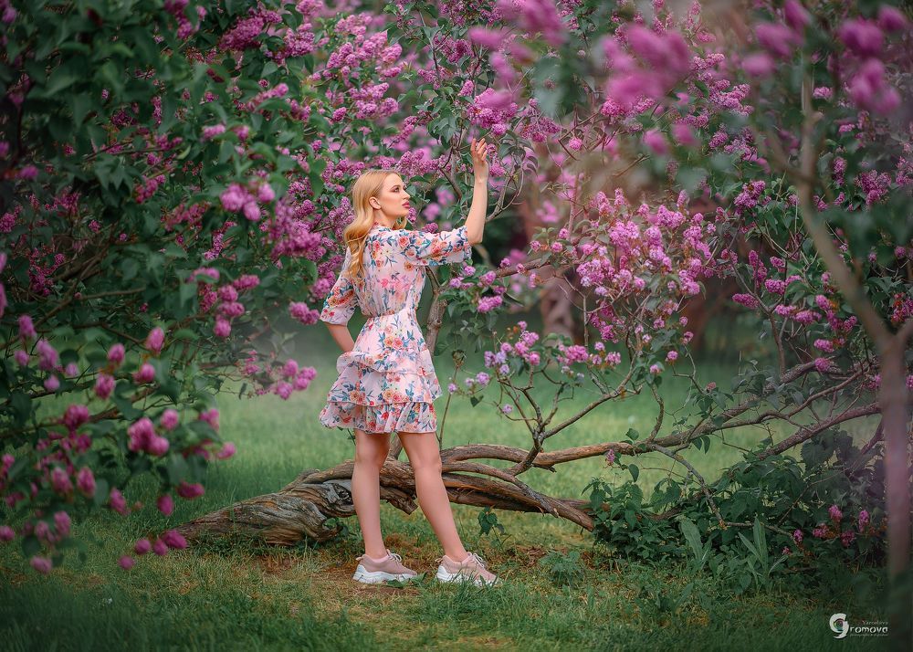 Lilac mood