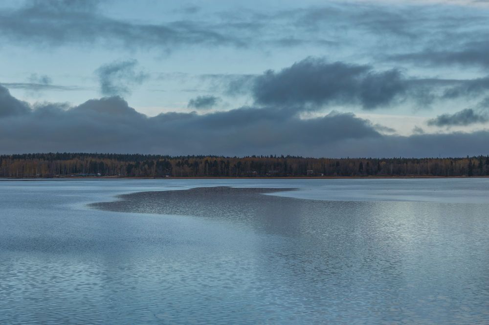 Переменчивость