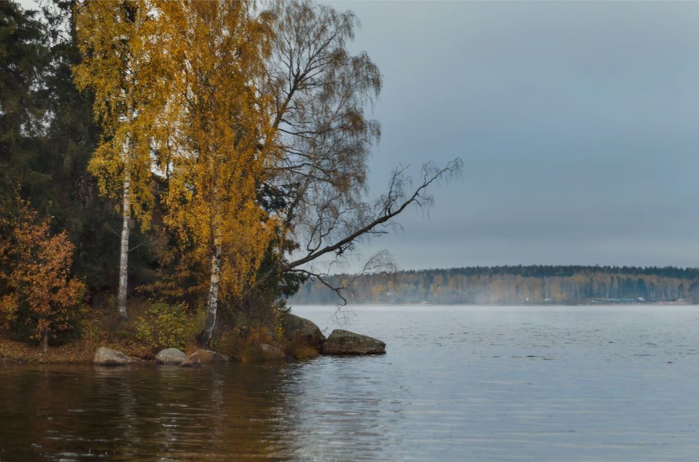 Переменчивость