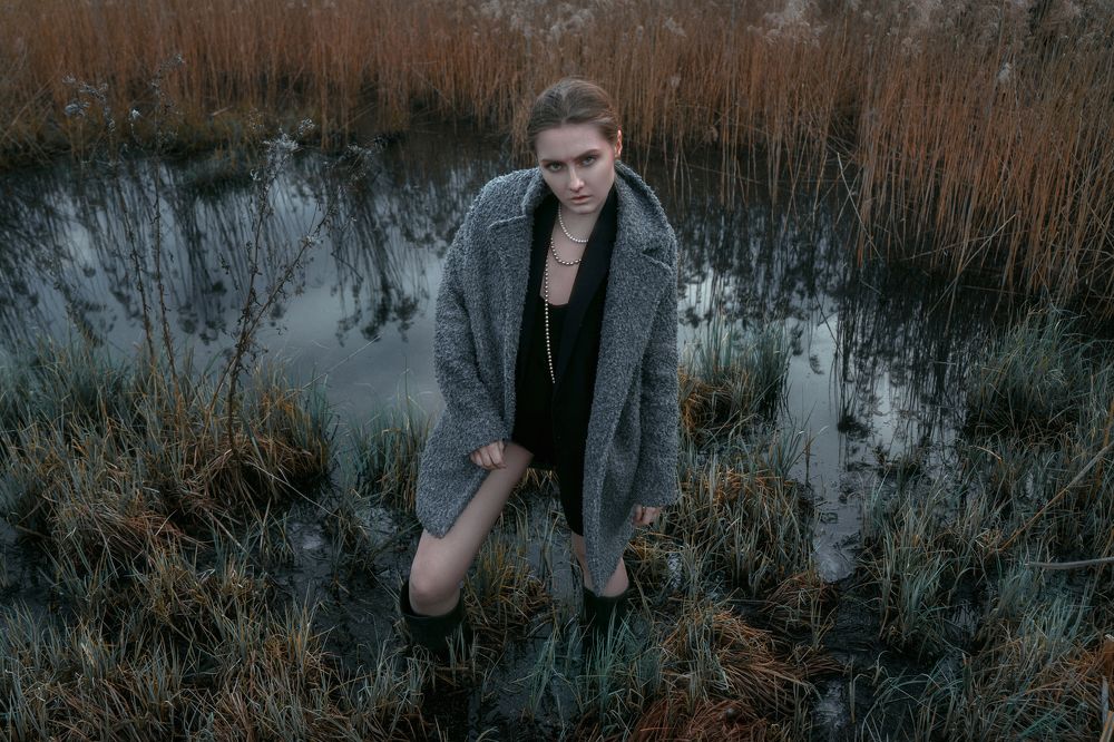 PHRAGMITES AUSTRALIS