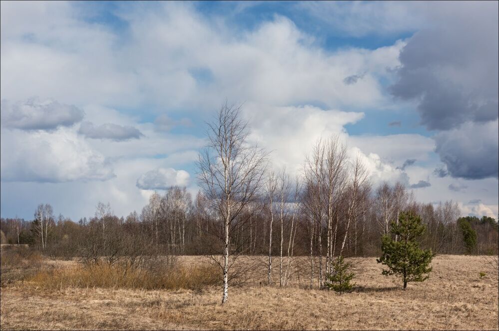 Непредсказуемость серой весны