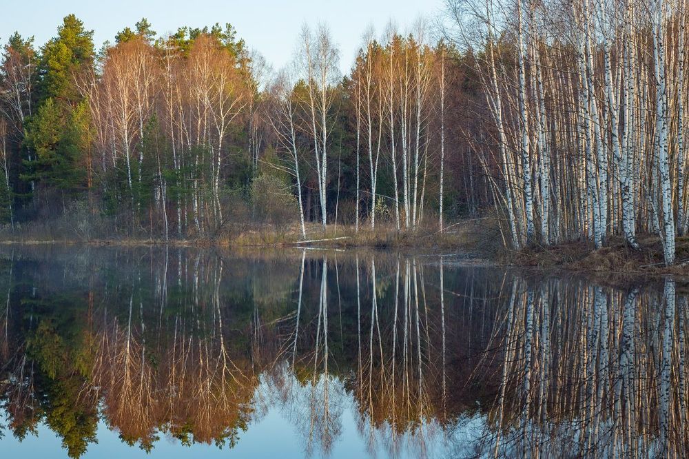 Апрельское зазеркалье