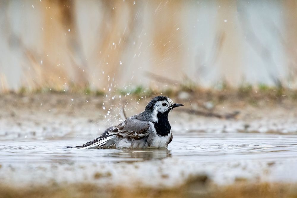 Водные процедуры.