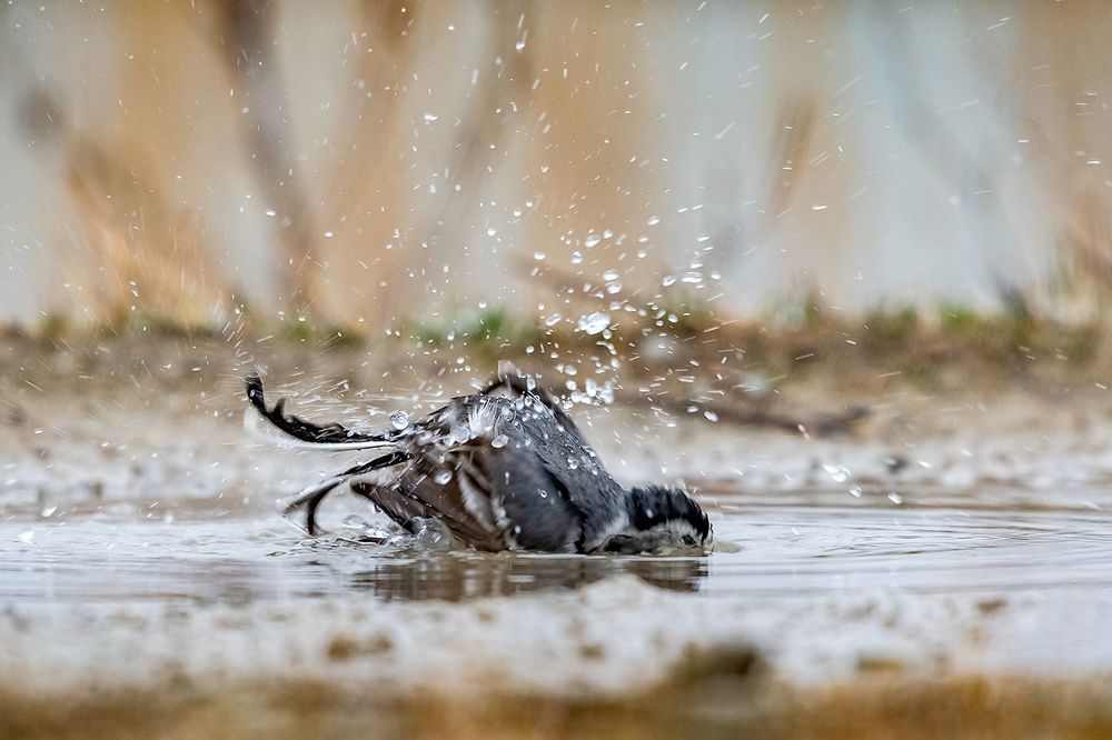 Водные процедуры.