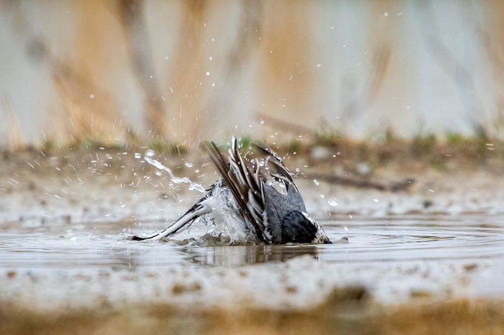 Водные процедуры.