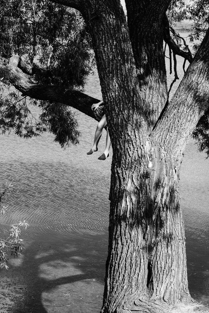 Photo 1935702