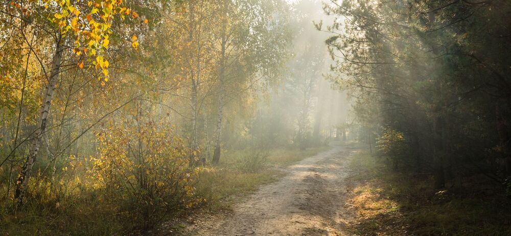 Растворяясь в утренней неге