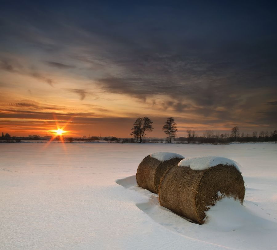 Winter Sunset