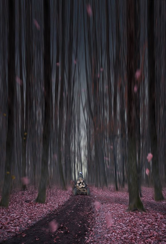 The wood cutter - 2 -