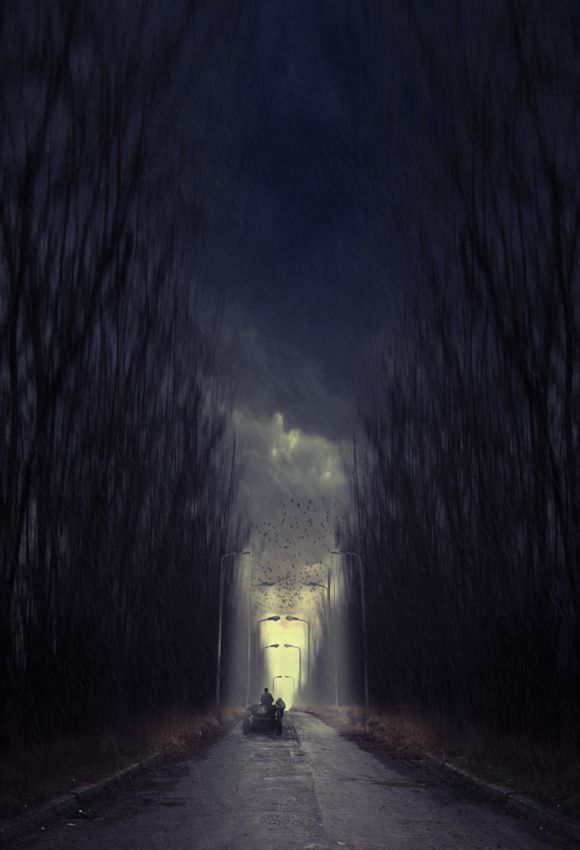 The other side world - 2 -