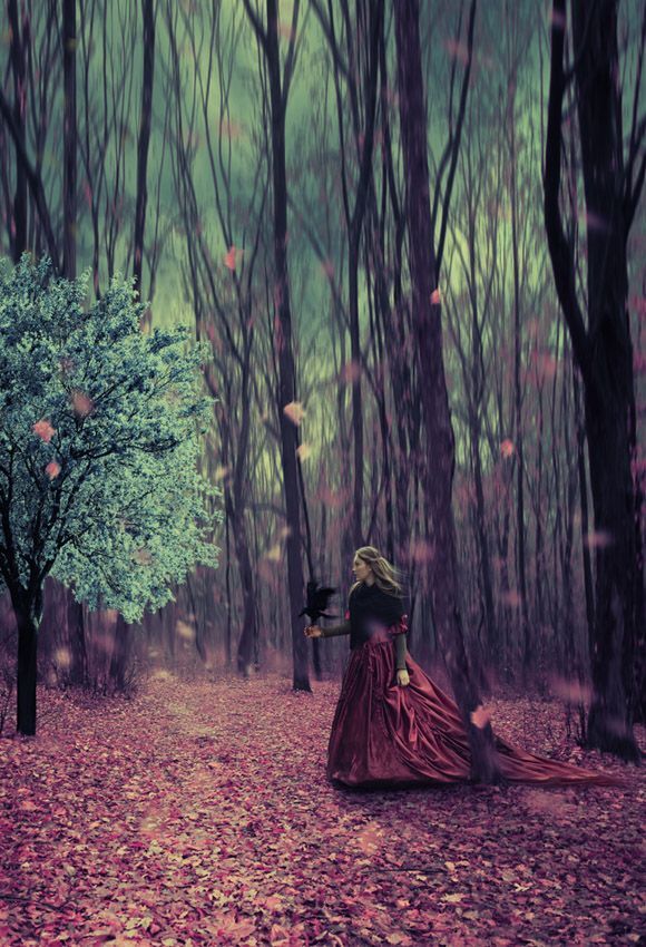 Alice and the mystery tree - 2 -