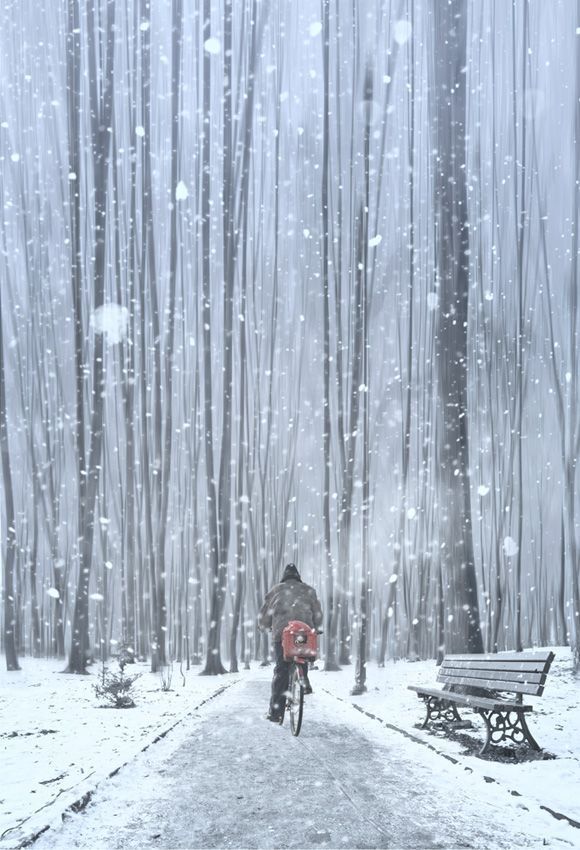 Singing among snowflakes - 2 -