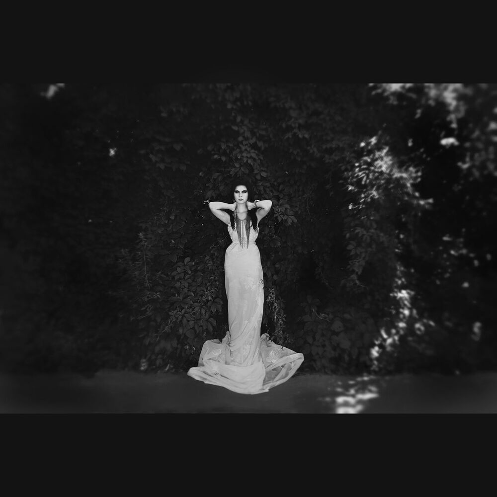 Photo 194818