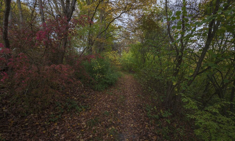 autumn memories...