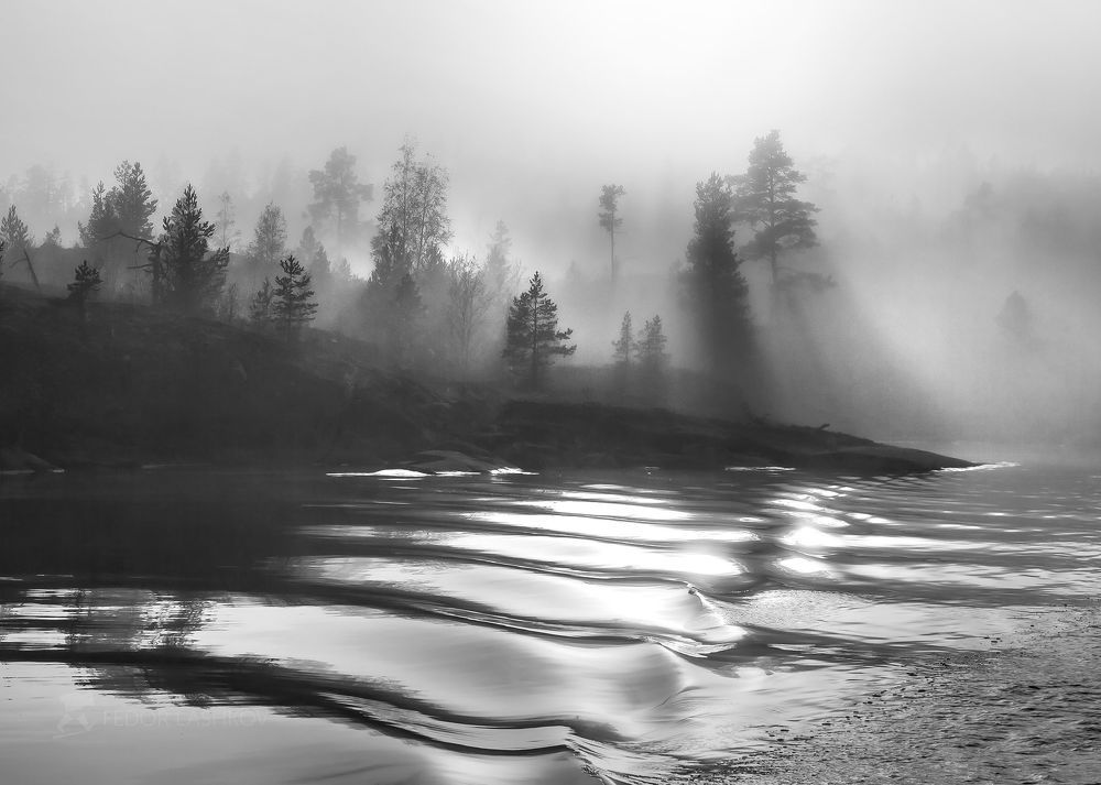 Из фотопроекта &laquo;Музыка тени и света&raquo;
