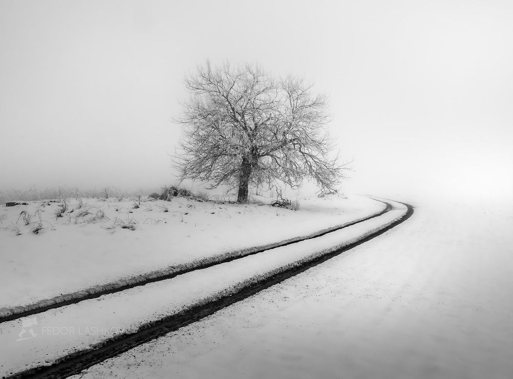Из фотопроекта &laquo;Музыка тени и света&raquo;