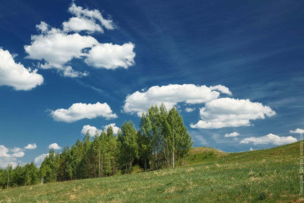 P. — родина