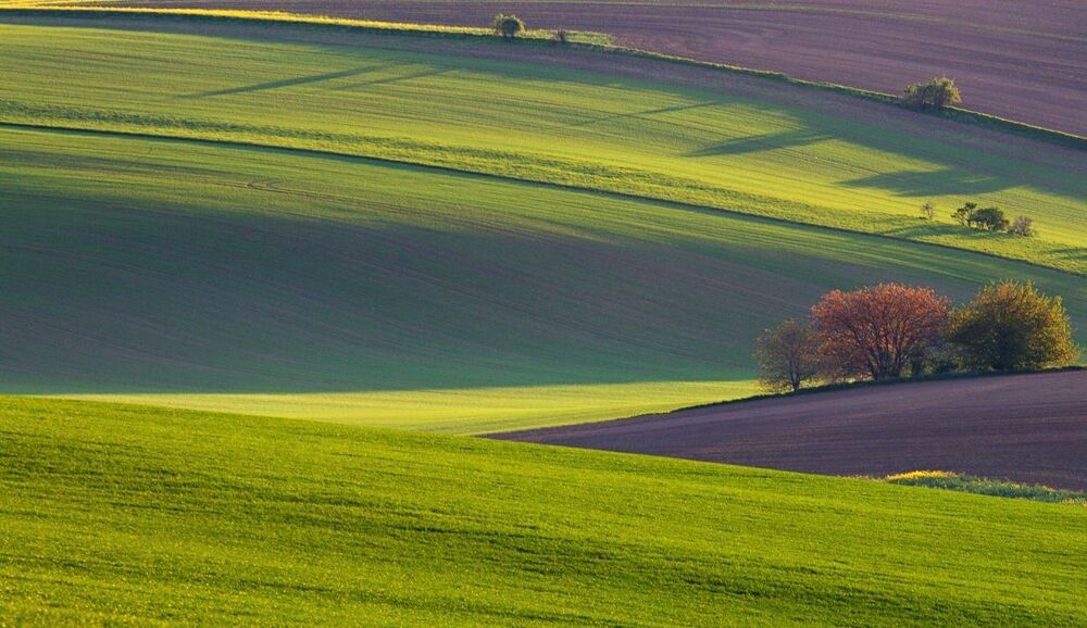 South Moravia