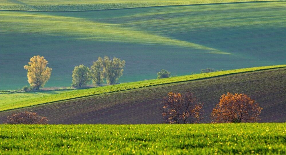 South Moravia