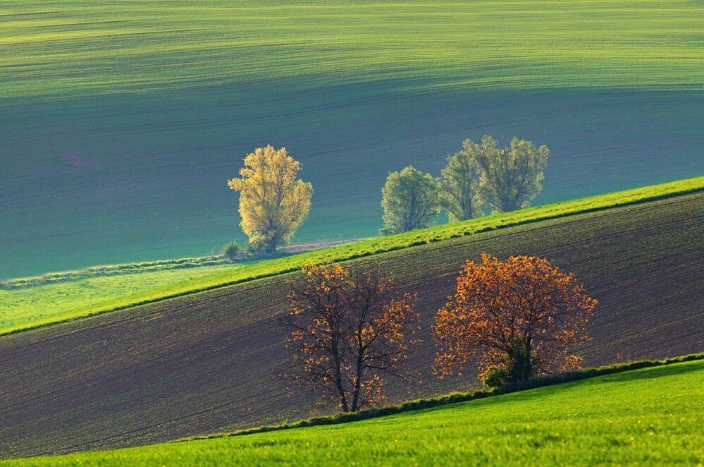South Moravia
