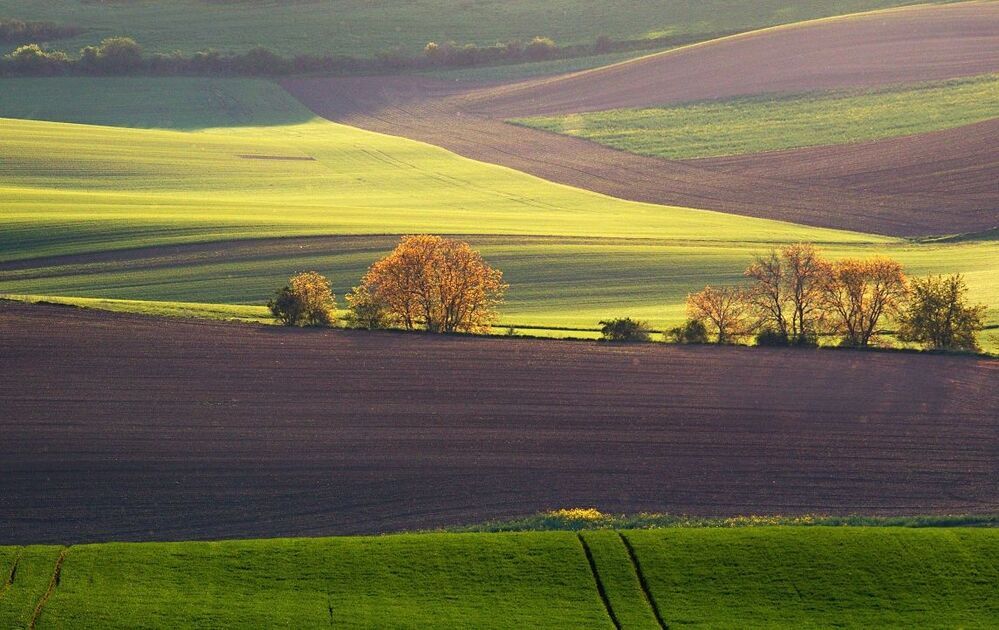 South Moravia