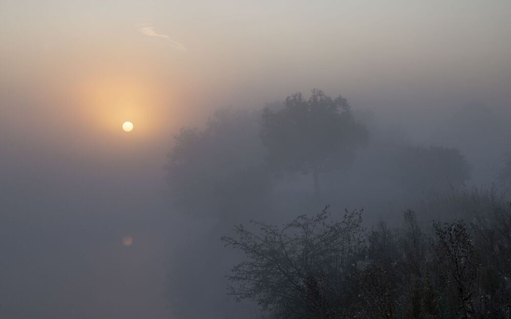 dawn relaxation...