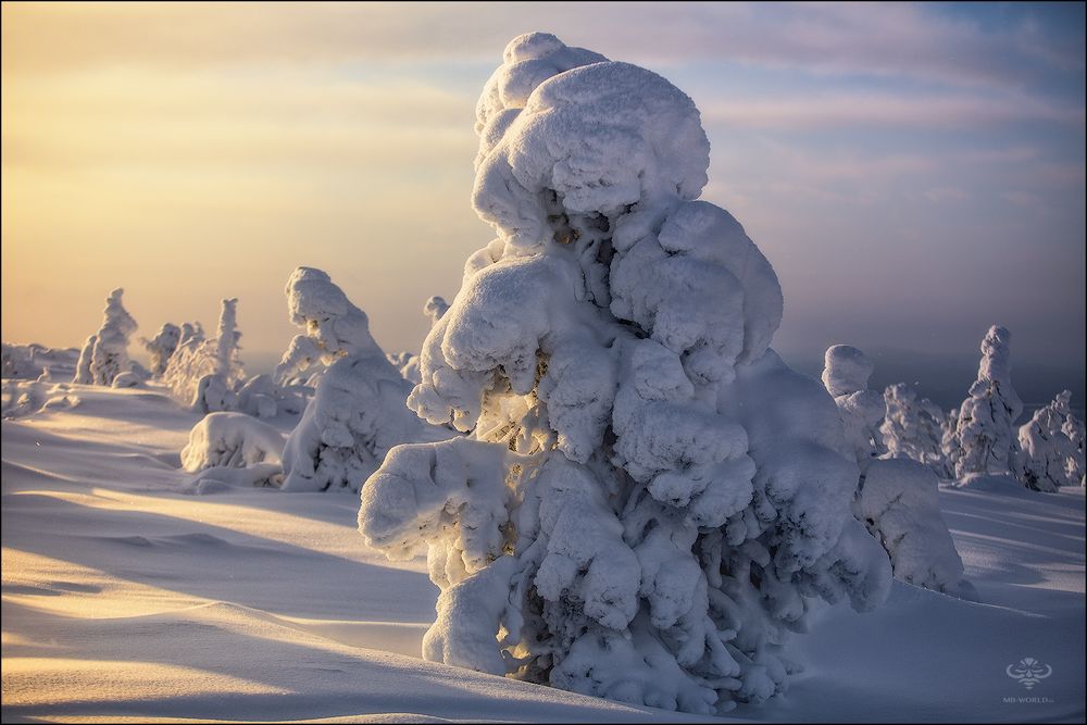 В гостях у зимней сказки...