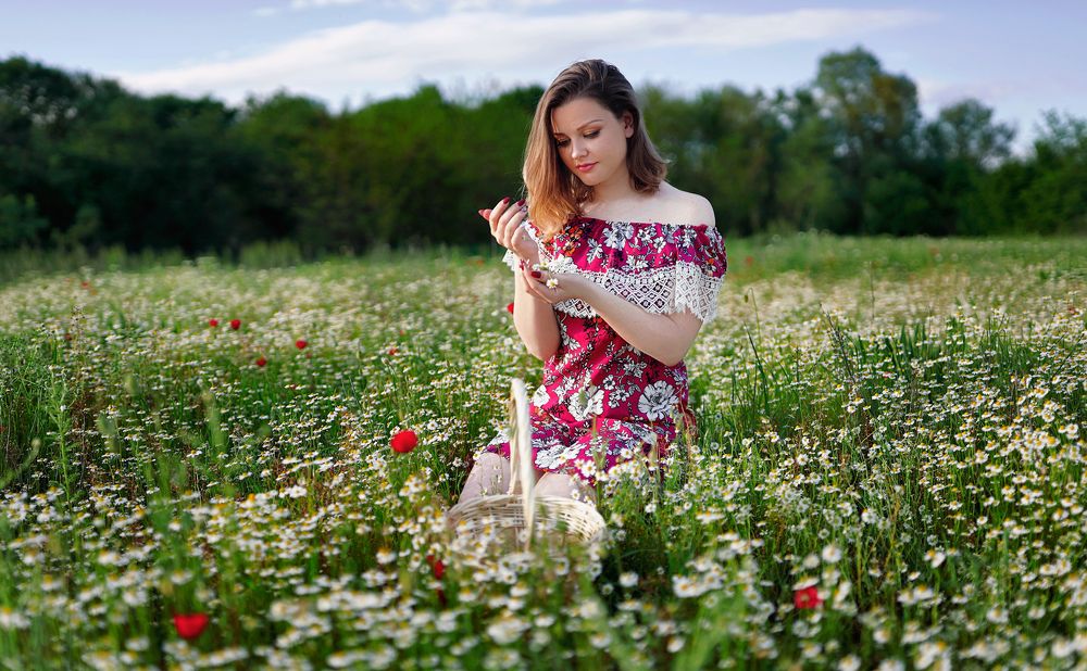 Camomile scents