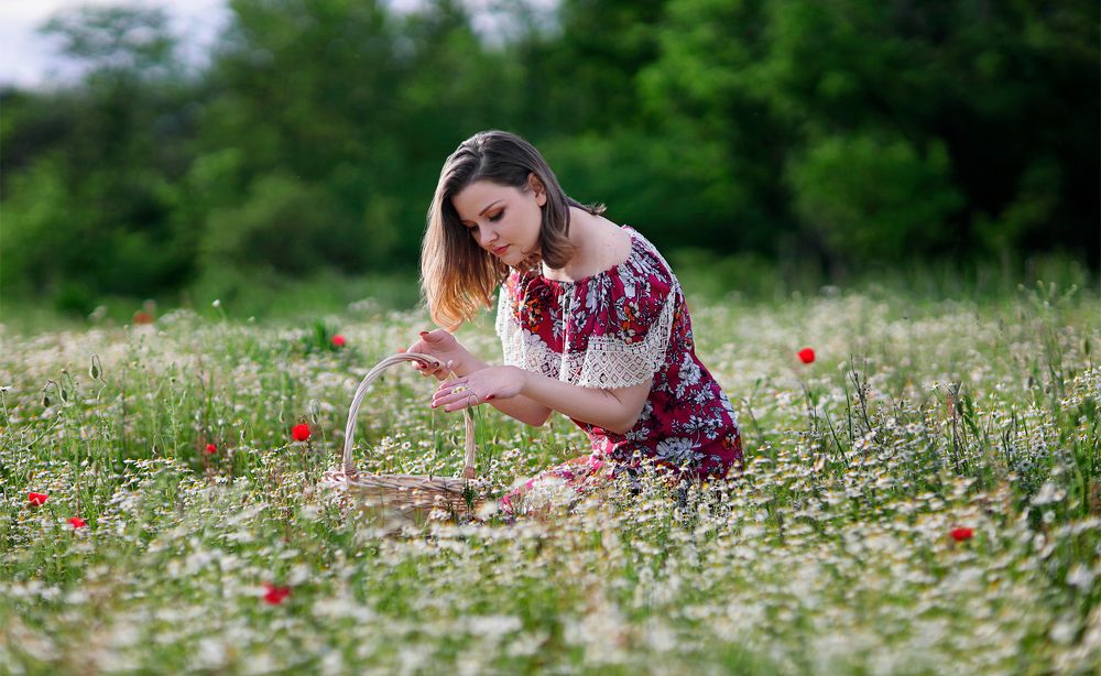 Camomile scents