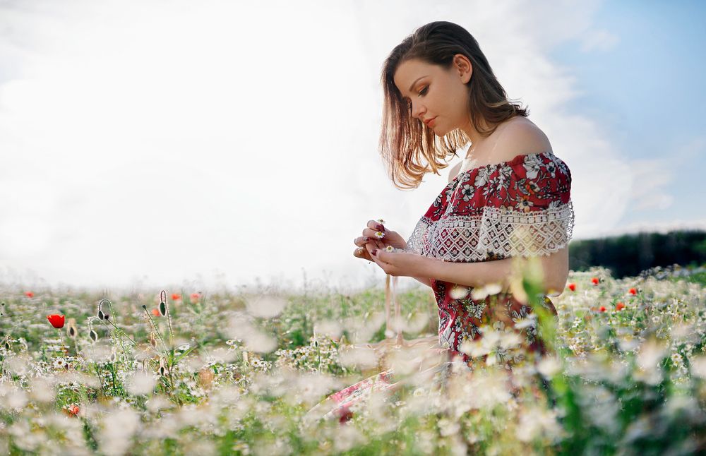 Camomile scents